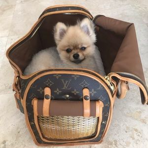 🐕‍🦺Louis Vuitton Pet Carrier 🐕‍🦺
